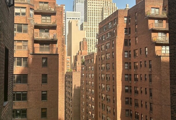 Studio, 1 bath, 300 sqft, $2,750, Unit 917