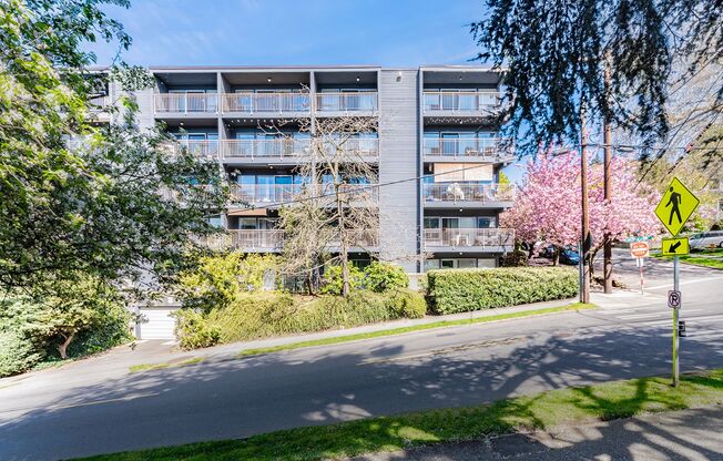 Lakeview Place
