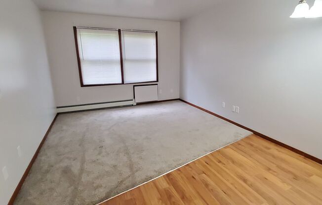 1 bed, 1 bath, $800, Unit Apt. 104