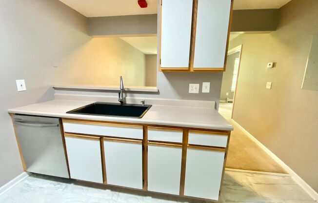 1 Bedroom Apartment in Burlington VT Available 9/1!