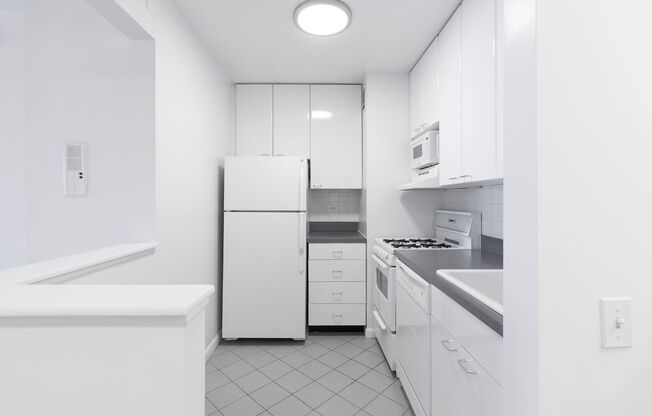 Studio, 1 bath, 502 sqft, $3,895, Unit 14P
