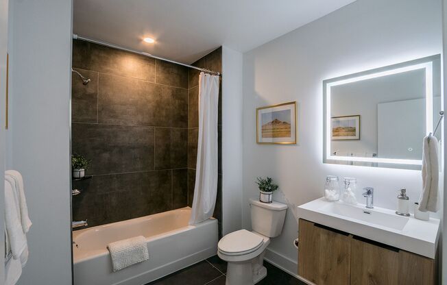 Studio, 1 bath, 309 sqft, $1,146, Unit Unit 205