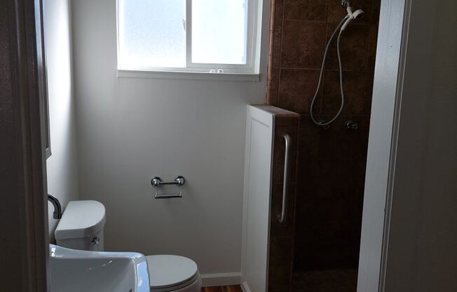 Studio, 1 bath, 287 sqft, $1,250, Unit Unit 02