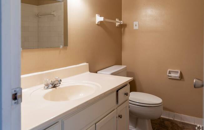 a bathroom with a sink toilet and a mirror