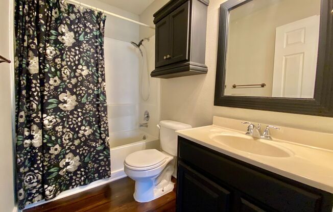 Adorable 3 Bedroom in Loma Vista!