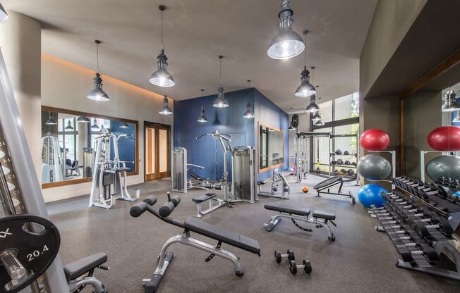 a gym with cardio equipment and weights on the floor and a blue wall with windows