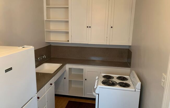 Studio, 1 bath, 265 sqft, $1,195, Unit 107