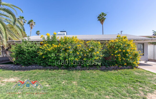8119 E AMELIA AVE