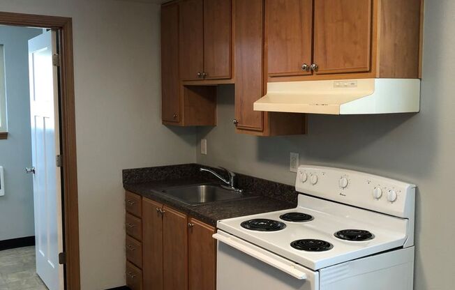 Studio, 1 bath, 222 sqft, $925, Unit 56-13