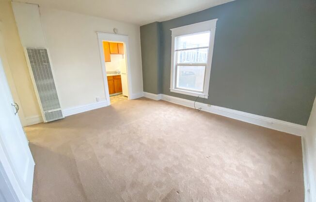 Studio, 1 bath, 280 sqft, $1,295, Unit 208