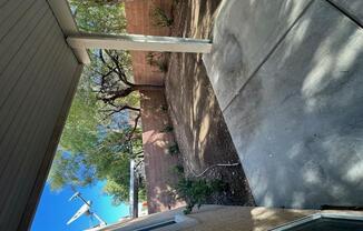 11625 ROYAL DERWENT DR