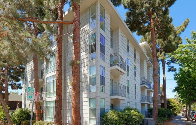 1 bed, 1 bath, 550 sqft, $2,495, Unit 311