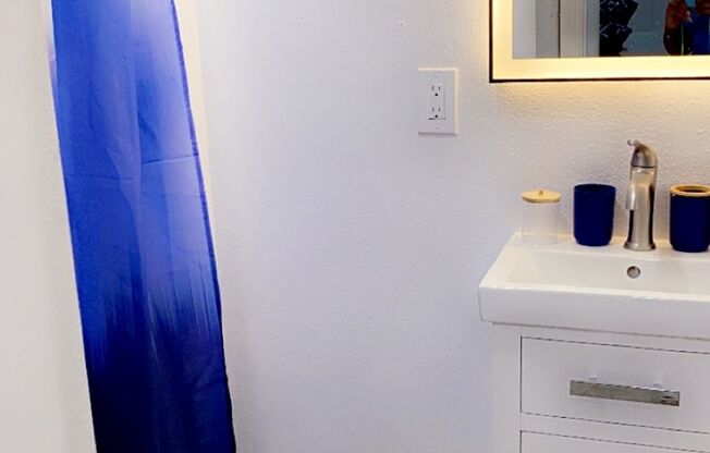 Studio, 1 bath, 443 sqft, $1,500