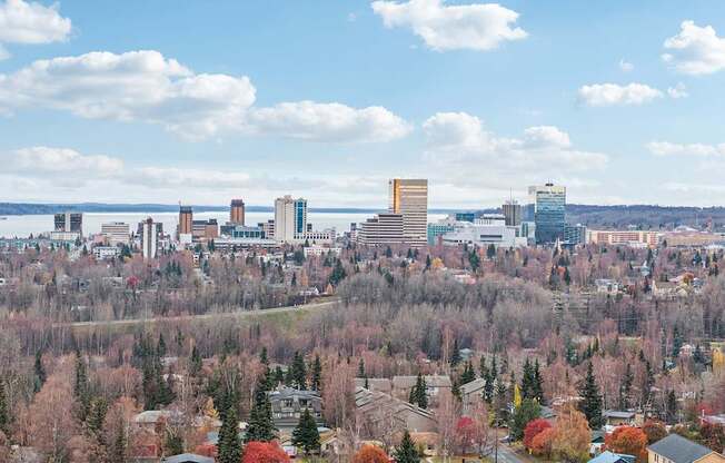 A cityscape with a mix of residential and commercial buildings, surrounded by trees with autumn foliage.