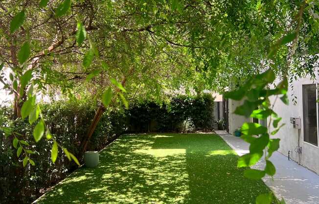 Nicely shaded landscaped area in back of The Carlton apartments in Hollywood, California.