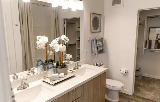 Bathroom at The Aster at Mountain Vista Apartments