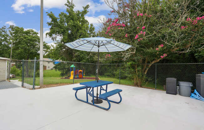 A blue picnic table is in the middle of a concrete patio.