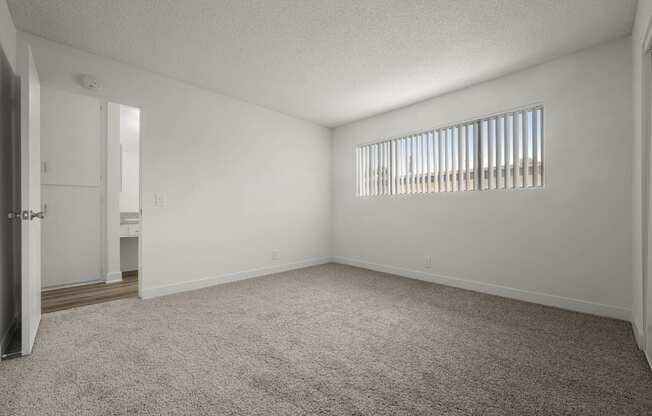 A room with a carpeted floor and a window with blinds.