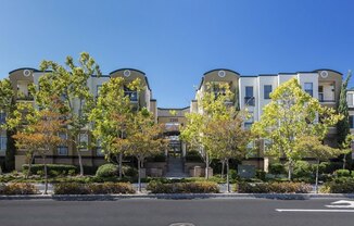 Bridgepointe in San Mateo