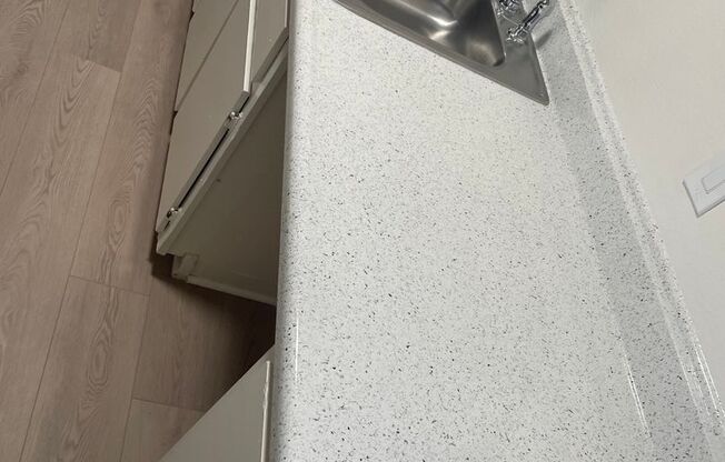 Studio, 1 bath, 550 sqft, $1,475