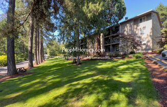 Bright One Bedroom Condo in West Slope!