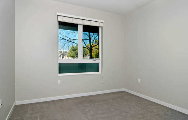 Carpeted Bedroom