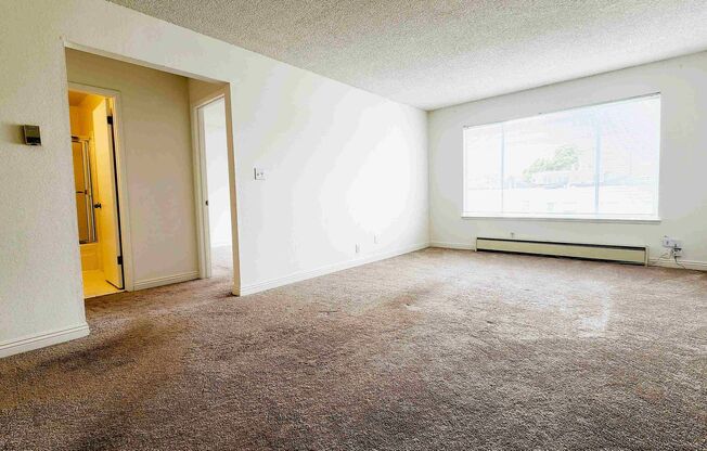 1249 21st Ave.