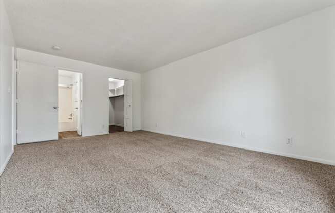 Bedroom With Walk-In Closet