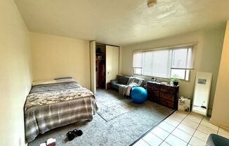 Studio, 1 bath, $725, Unit 311