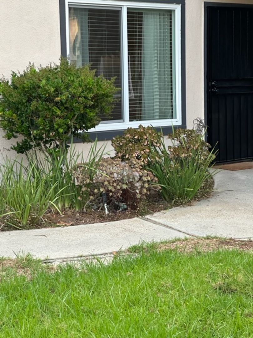 Sea Chase (Acacia Avenue)