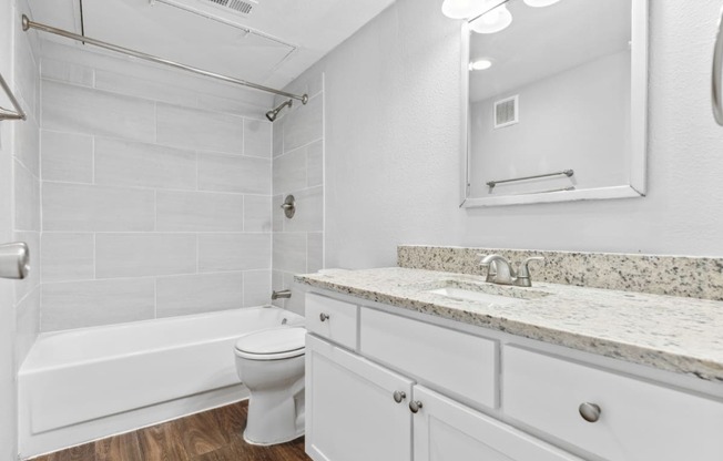 a bathroom with a sink and a toilet and a tub