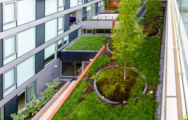 Interior Courtyard View