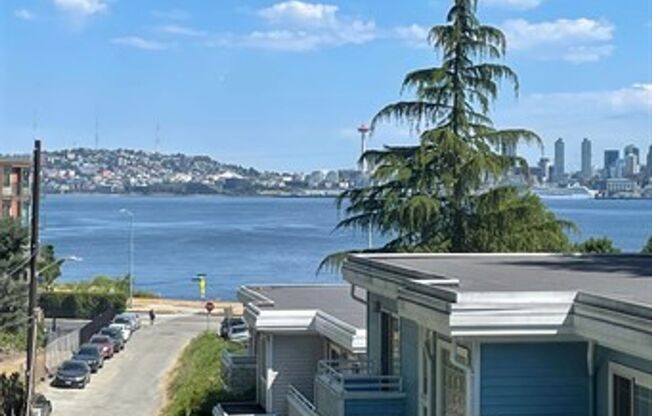 3 Bd / 2.5 Ba Seattle Duplex