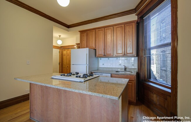 713 W Wrightwood Ave 35