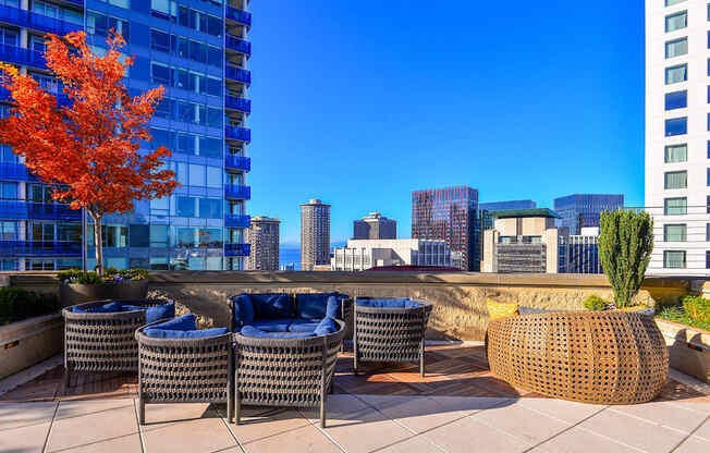 A patio with blue chairs and a tree with orange leaves.