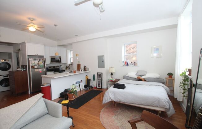 Fully renovated studio available in Northern Libertie