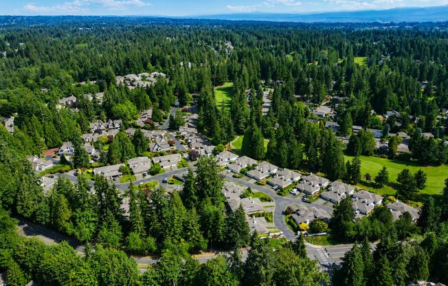 2009 Mill Pointe Dr SE