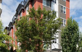 Apodments at Terrazza available now!