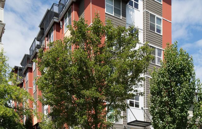 Apodments at Terrazza available now!