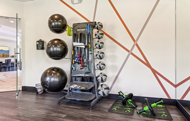 Yoga/Pilates Room Equipment