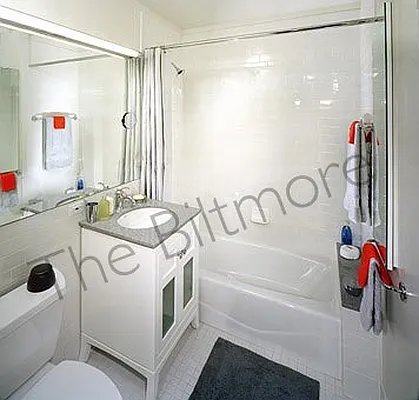 Studio, 1 bath, $6,080, Unit 46G
