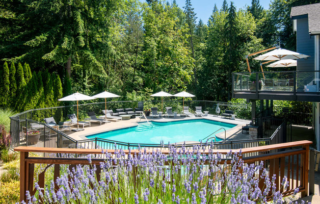 a swimming pool at a resort with trees