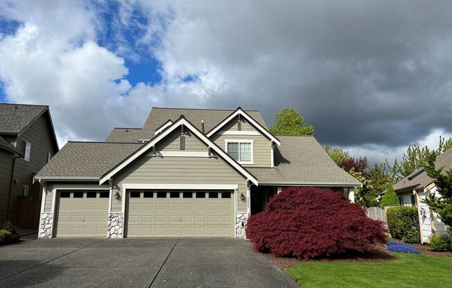 Sky Island Home in Bonney Lake