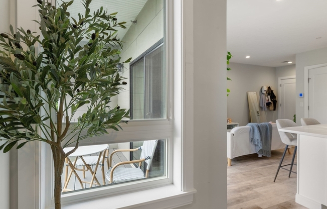 1 bed, 1 bath, 493 sqft, $3,250, Unit 308