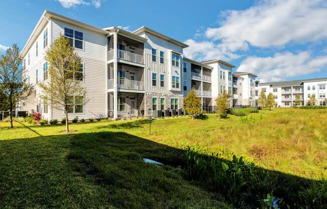 Green Landscape at Drift, Florida, 32117