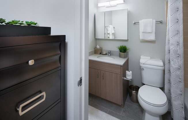 Bathroom Vanities and Fixtures at Elm Street Plaza, Chicago, 60610