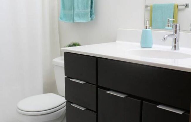 1 bed, 1 bath, 801 sqft, $1,463, Unit 119