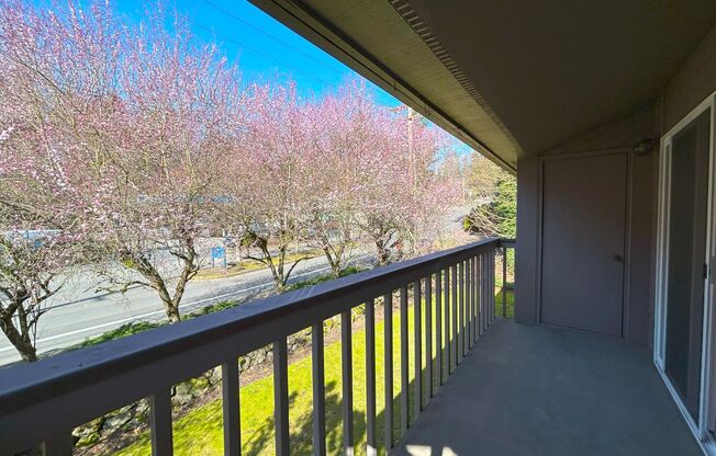 1 bed, 1 bath, 570 sqft, $2,350, Unit 5