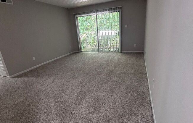 Spacious One Bedroom Available. Close to University and Downtown Area.