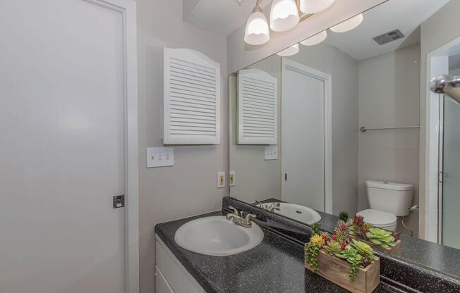 2 beds, 2 baths, 990 sqft, $1,119